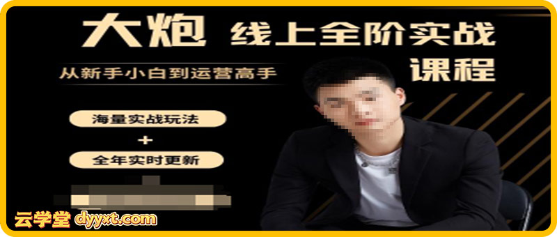 大炮-拼多多全阶实战课程2025年5月