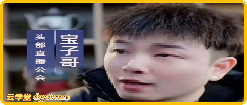 宝子哥-抖音快手全套无人直播课2026年2月更新（价值2980元）