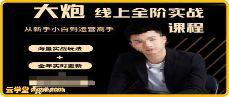 大炮电商-拼多多全阶实战课程2025年10月21日更新