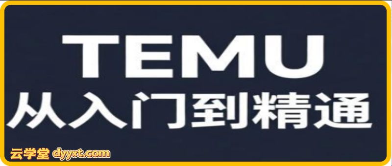 跨境麦冬·TEMU从入门到精通