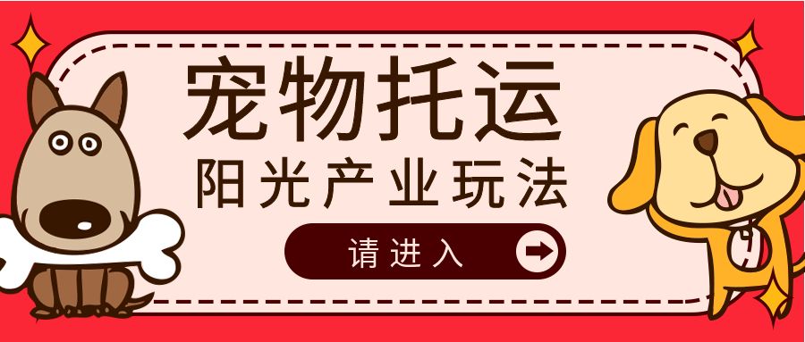 宠物托运阳光产业玩法教学,市面上少有的宠物赛道赚钱玩法